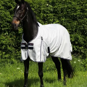 END OF LINE - Cotone Original Stable Sheet