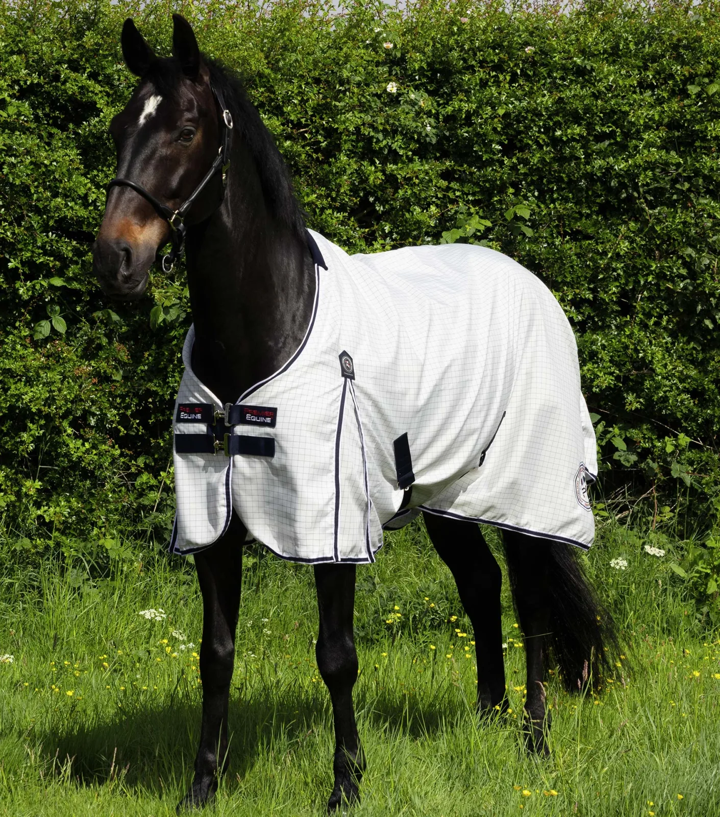 END OF LINE - Cotone Original Stable Sheet