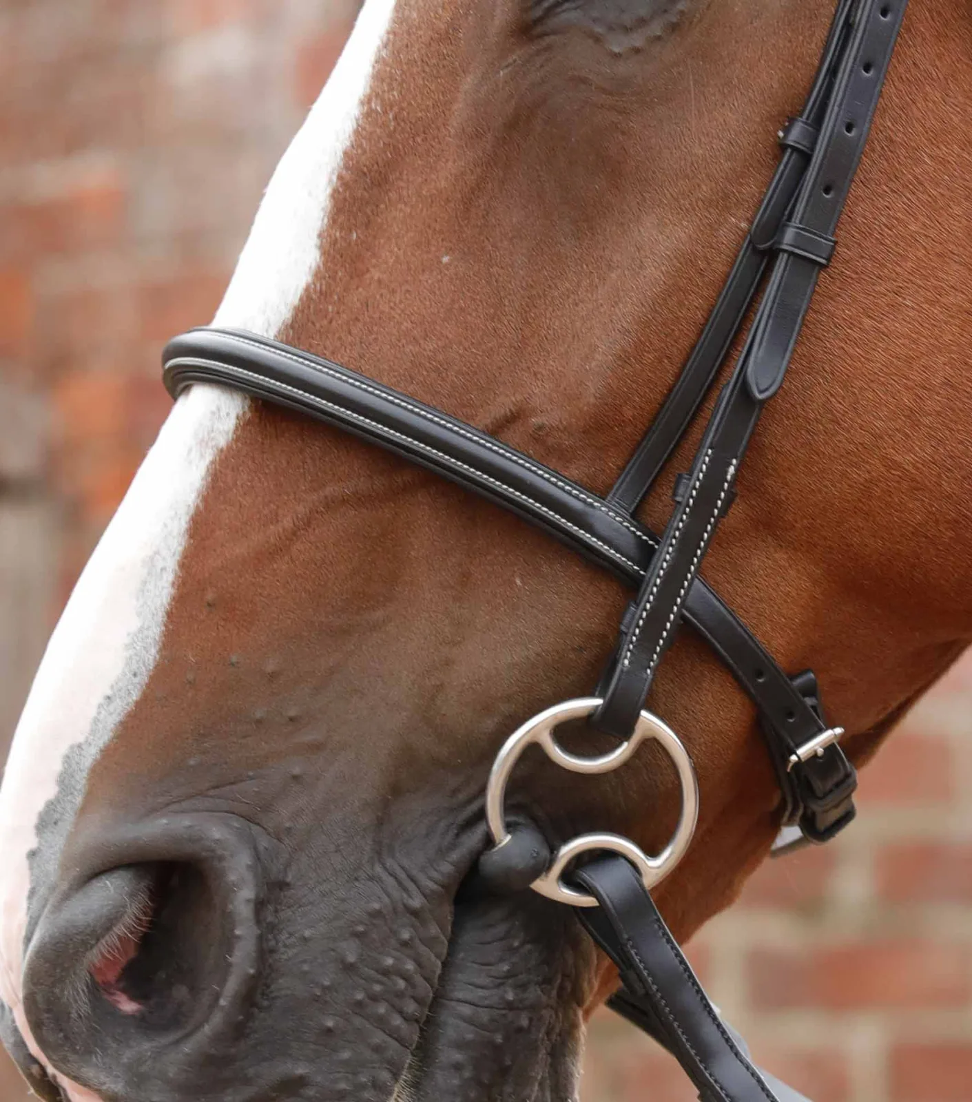 END OF LINE - Mossimo Cavesson Bridle - Image 2