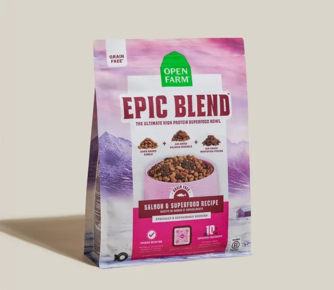 Epic Blend Salmon & Superfood Grain-Free Dog Kibble - Image 2
