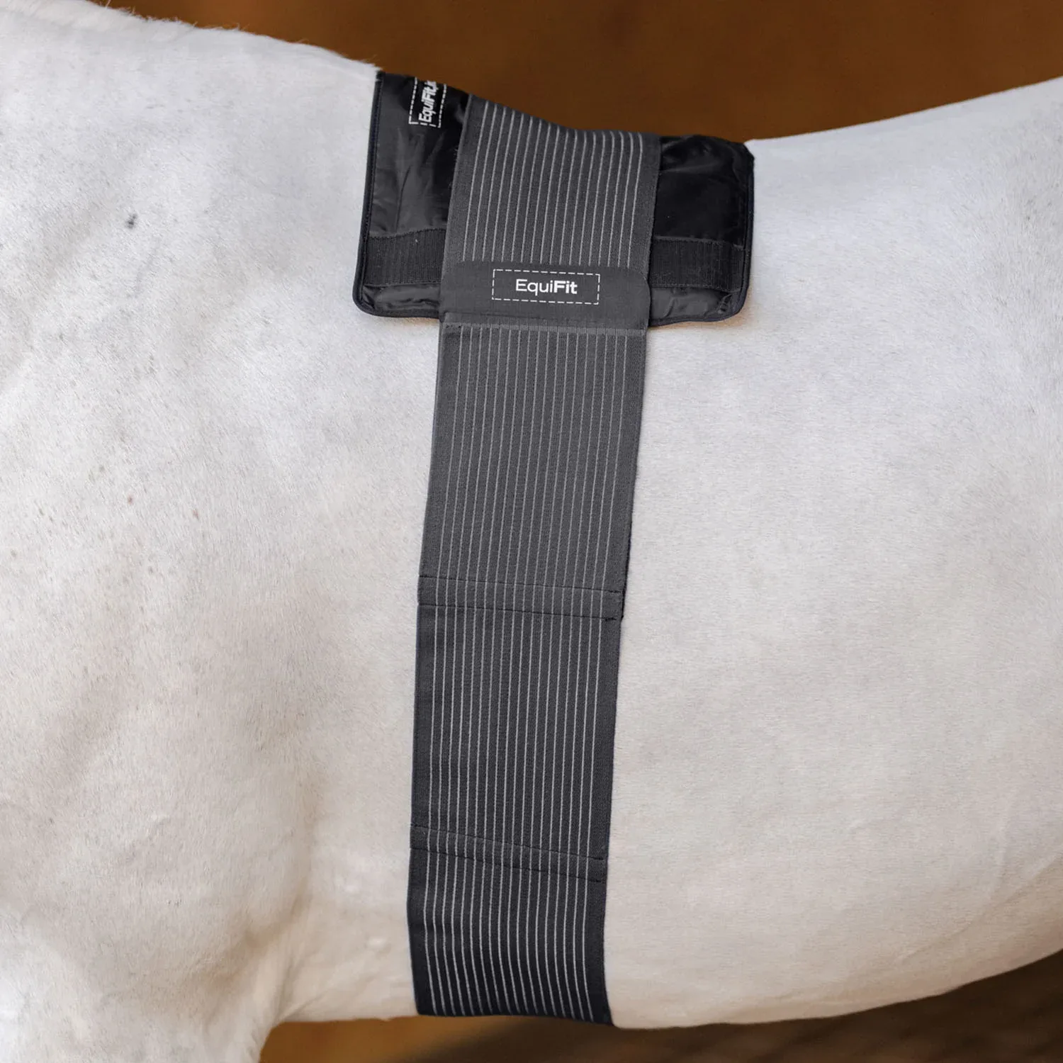 EquiFit® GelCompression BackPack™ - Image 2