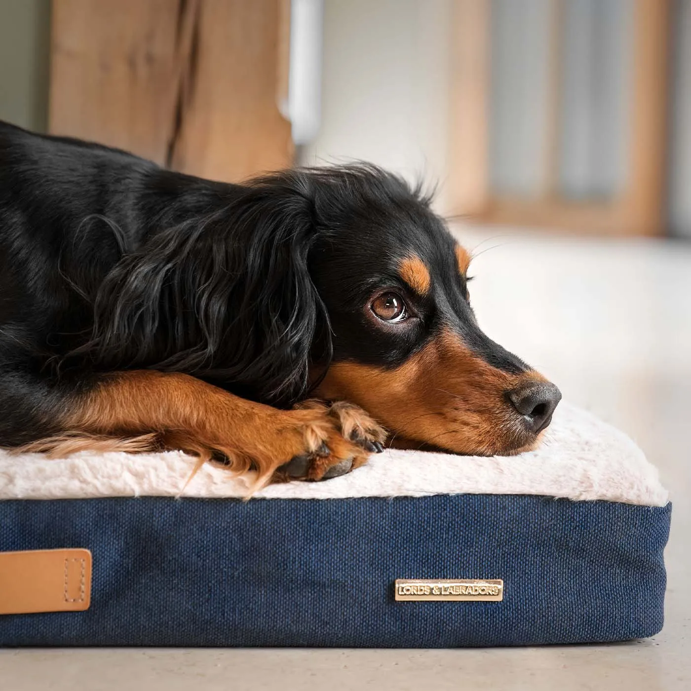 Essentials Twill Orthopaedic Mattress in Denim by Lords & Labradors - Image 2