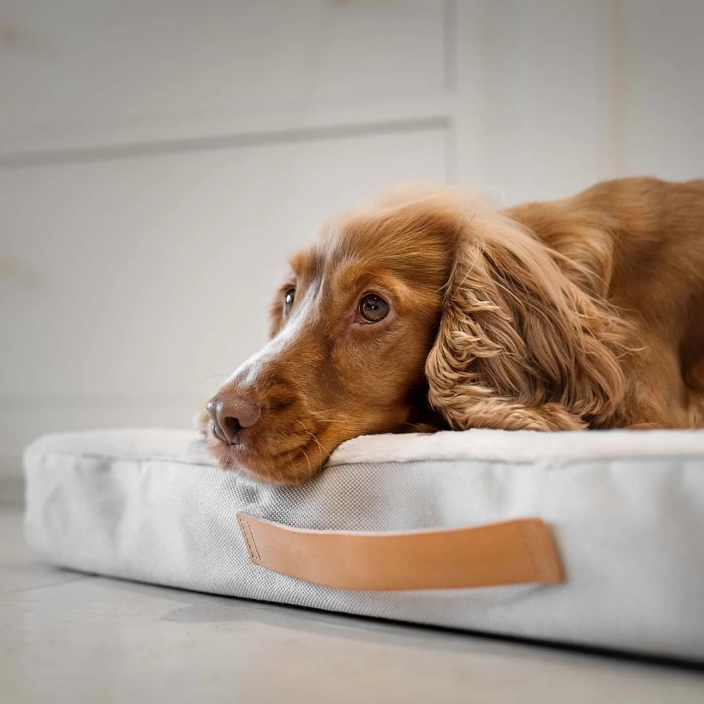 Essentials Twill Orthopaedic Mattress in Linen by Lords & Labradors - Image 2