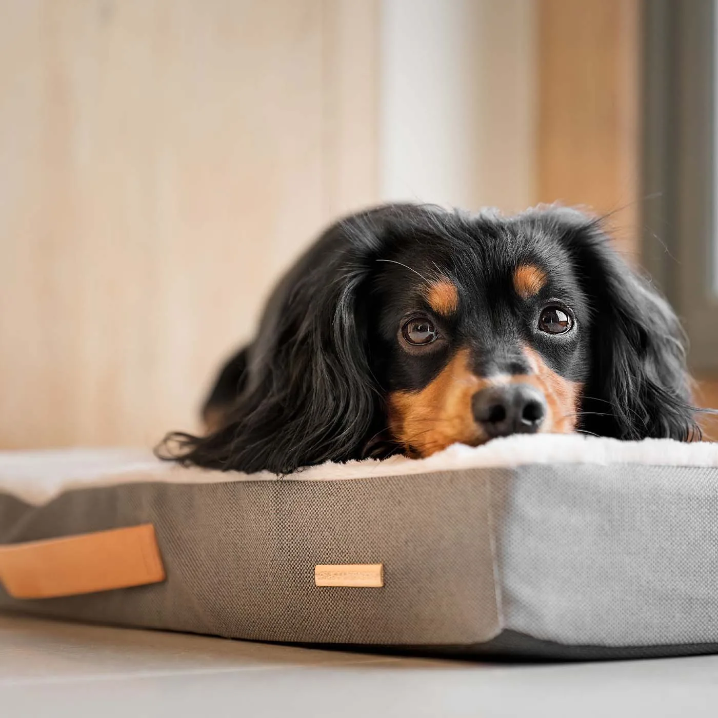 Essentials Twill Orthopaedic Mattress in Slate by Lords & Labradors - Image 2