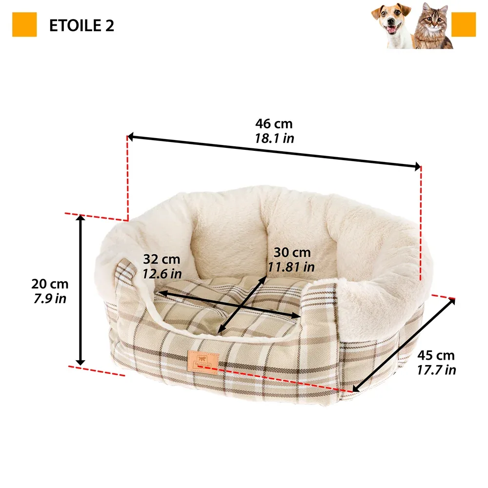 ETOILE - Image 2