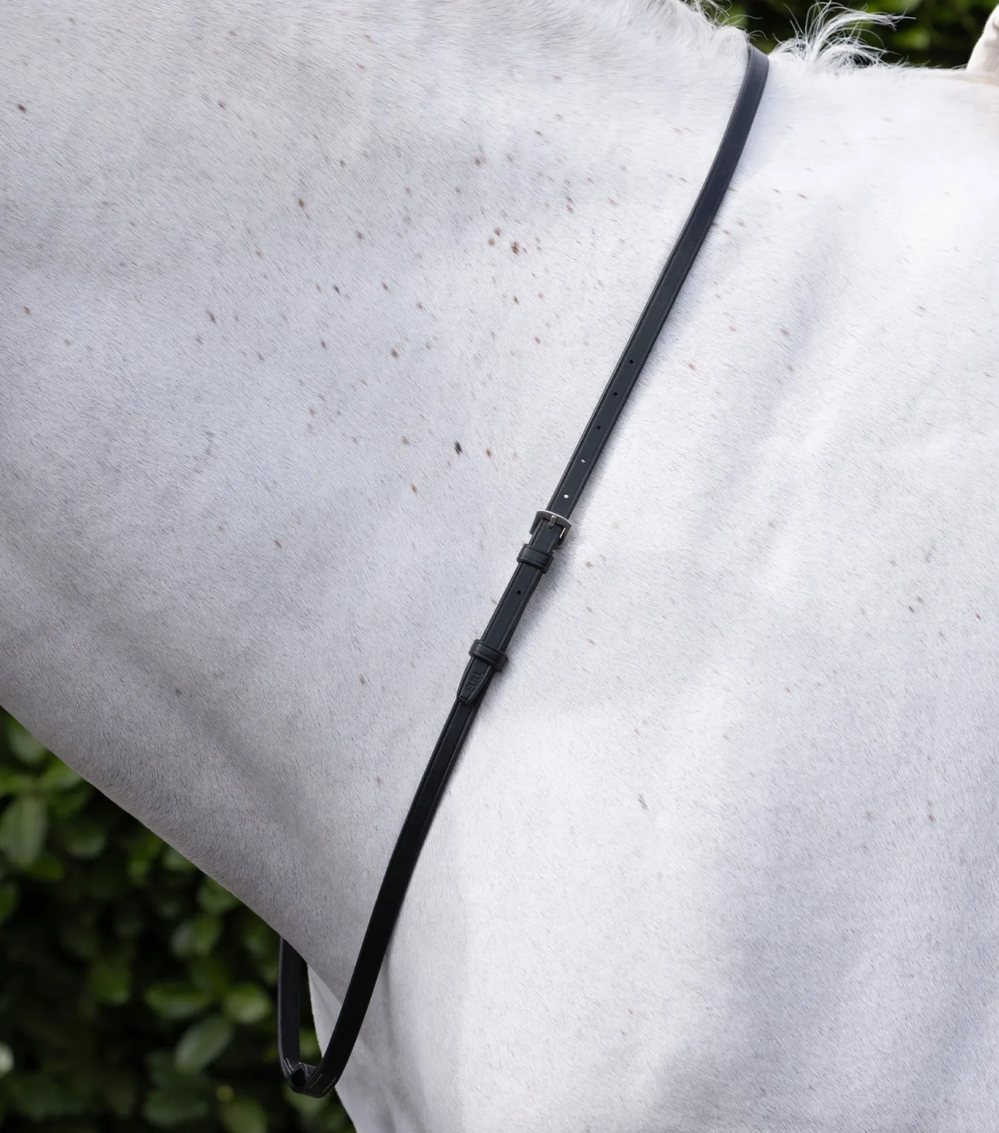 European Neck Strap Black