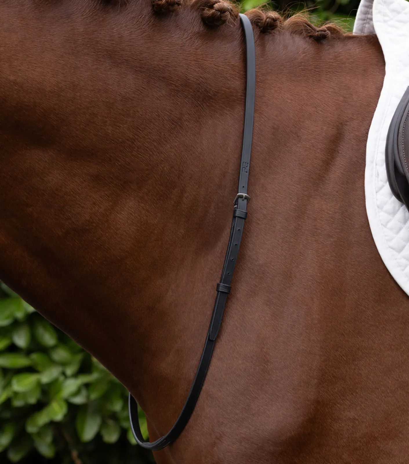 European Neck Strap Dark Havana