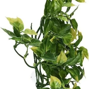 Exo-Terra Amapallo Forest Shrub