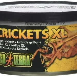 Exo Terra Canned Crickets XL Specialty Reptile Food