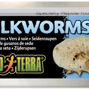 Exo Terra Canned Silkworms Specialty Reptile Food