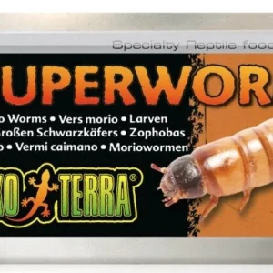 Exo Terra Canned Superworms Specialty Reptile Food