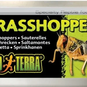 Exo-Terra Grasshoppers Reptile Food