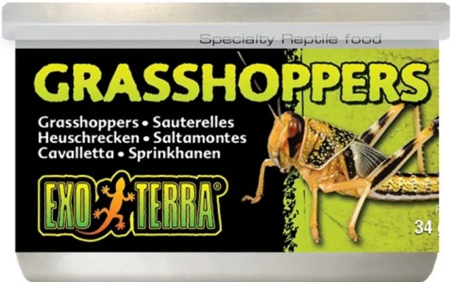 Exo-Terra Grasshoppers Reptile Food
