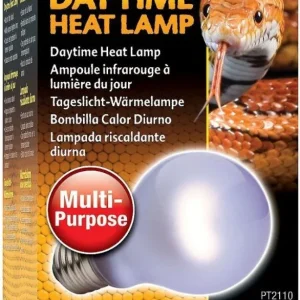 Exo-Terra Sun Glo Neodymium Daylight Lamps - 60W