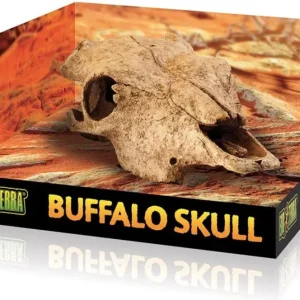 Exo Terra Terrarium Buffalo Skull Decoration