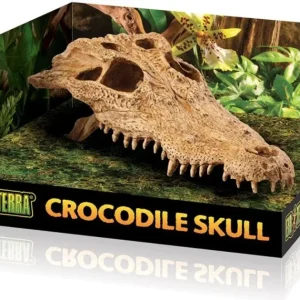 Exo Terra Terrarium Crocodile Skull Decoration