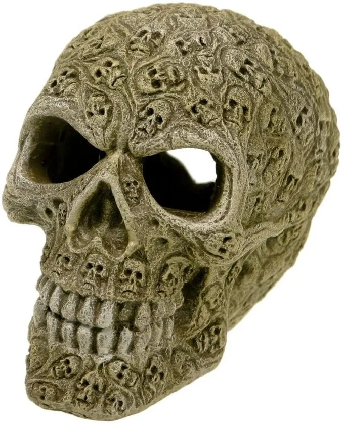 Exotic Environments Haunted Skull Aquarium Ornament