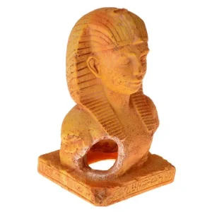 Exotic Environments Terra Cotta King Tut