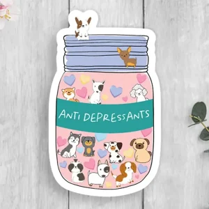 EXPRESSION DESIGN CO - STICKERS