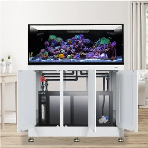 EXT 100 Gallon Complete Reef System – White (Made-To-Order) - Innovative Marine