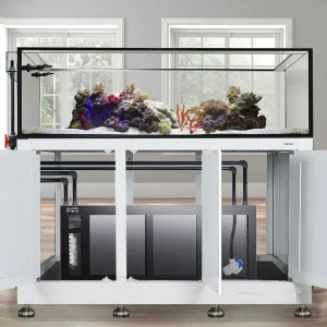 EXT 200 Gallon Peninsula Complete Reef System – White (Made to Order) - Innovative Marine