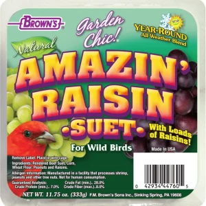 F.M. Brown's Amazin Raisin Suet Suet Cakes Bird Food - 11.75 oz