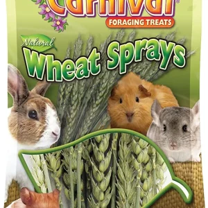 F.M. Brown's Ext Nat Wheat Sprays Small Animal Treats - 1.5 oz
