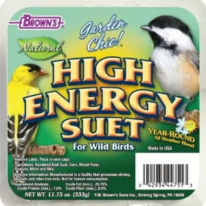 F.M. Brown's High Energy Suet plus Apple Suet Cakes Bird Food - 11.75 oz