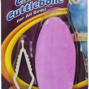 F.M. Brown's Mango Cuttlebone Bird Treats - 1.25 oz
