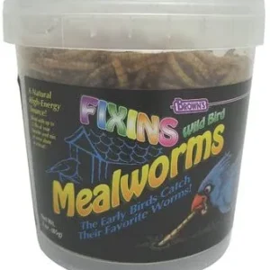 F.M. Brown's Mealworms Fixins Wild Bird Food - 3 oz