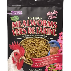 F.M. Brown's Mealworms Fixins Wild Bird Food - 7 oz
