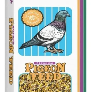 F.M. Brown's Pigeon Developer Small Corn Bird Food - 50 lb Bag