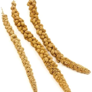F.M. Brown's Super Premium Golden California Millet Sprays 2 Bird Treats - 320 Count