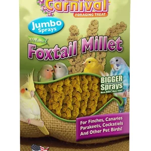 F.M. Brown's Super Premium Natural Foxtail Spray Millet Bird Treats - 4 oz
