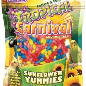 F.M. Brown's Super Premium Sunflower Yummies Bird Treats - 3.5 oz