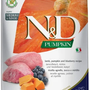 Farmina Grain-Free Pumpkin Lamb & Blueberry Puppy Medium and Maxi Dry Dog Food - 5.5 lb Bag