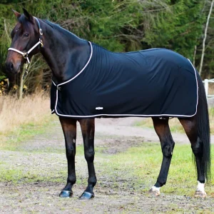 Finntack Pritex Summer Sheet