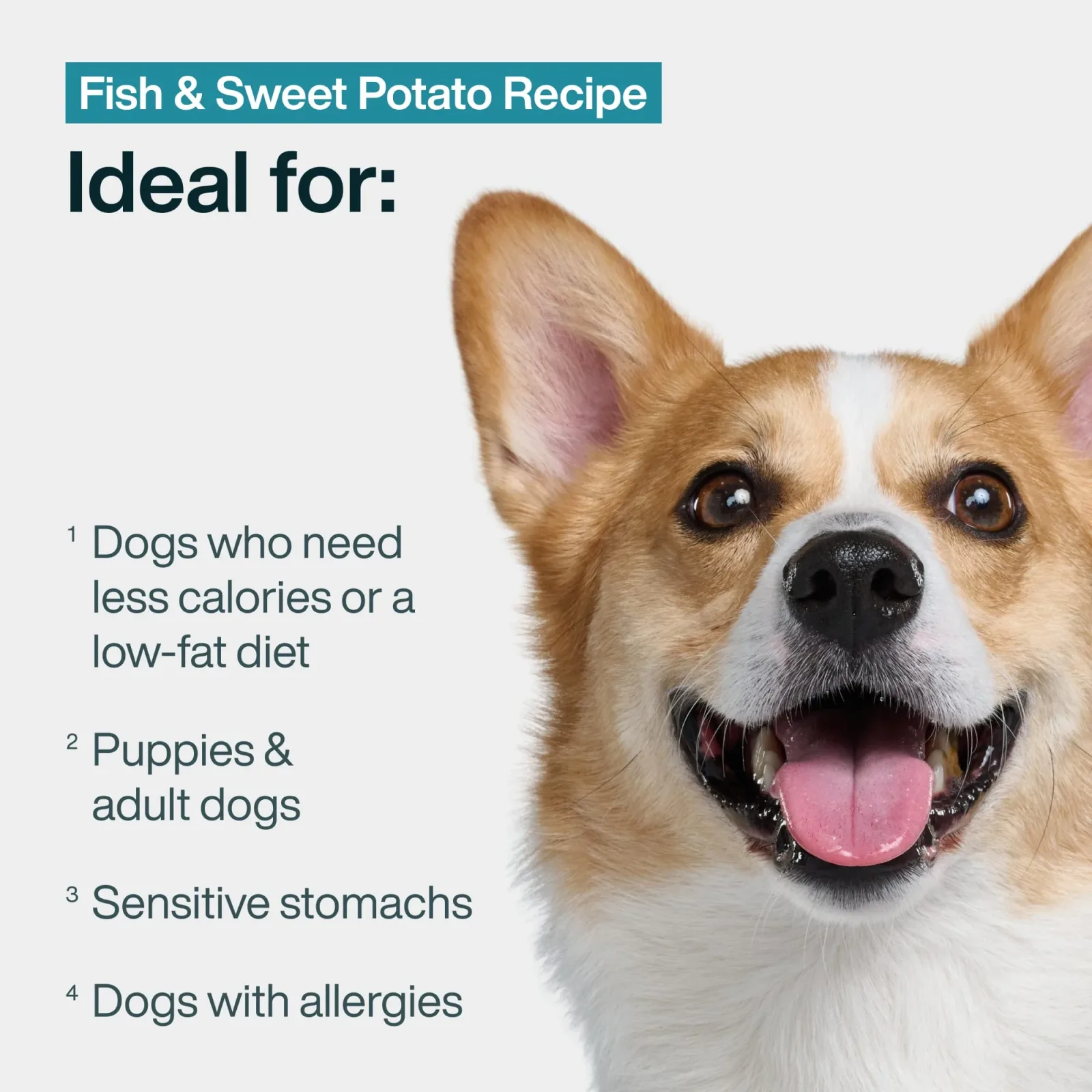Fish & Sweet Potato - Image 2