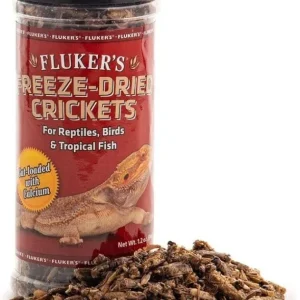 Flukers Freeze-Dried Crickets