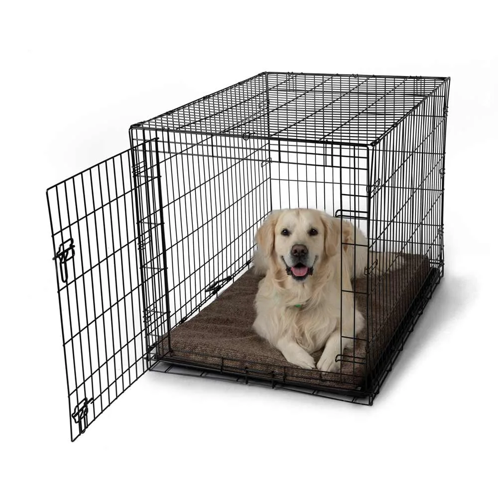 Forgiveness™ Fully Washable Crate Pad – Show Dog Collection - Image 2