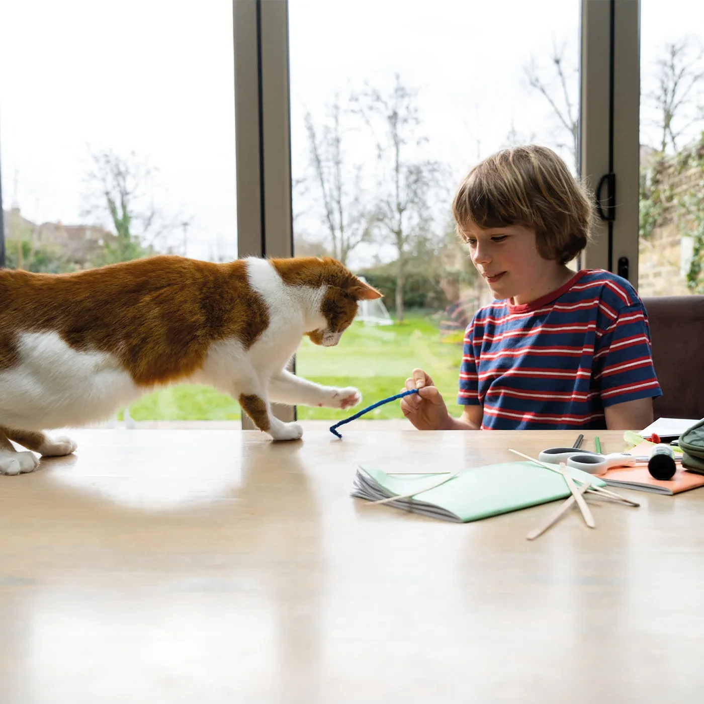 Frontline Plus for Cats x6 - Image 2