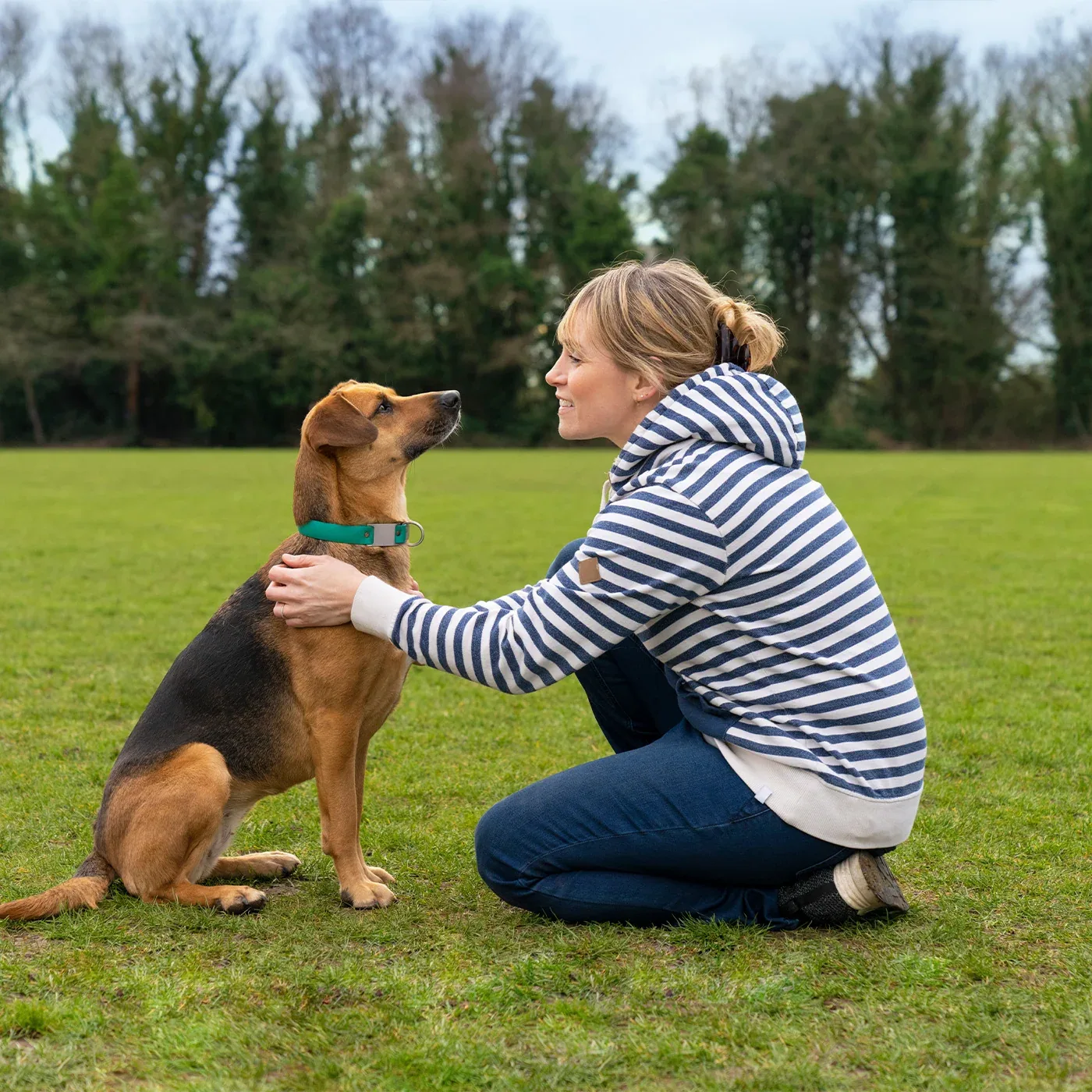 Frontline Plus for Medium Dogs x3 - Image 2