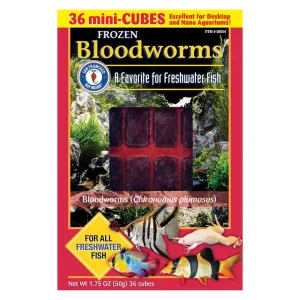 Frozen Bloodworms Fish Food (36 mini cubes, 1.75 oz) - San Francisco Bay Brand
