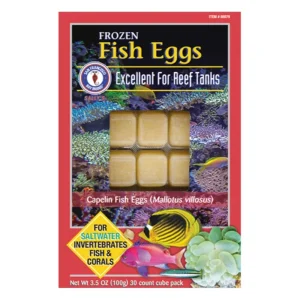 Frozen Fish Eggs Fish Food (30 cubes, 3.5 oz) - San Francisco Bay Brand