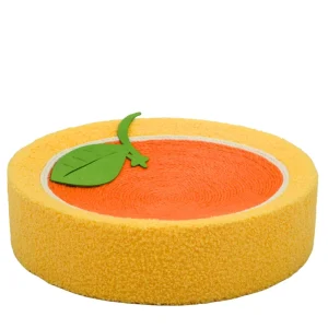 FurryLiving Orange Bed & Scratcher Mat for Cats (Orange)