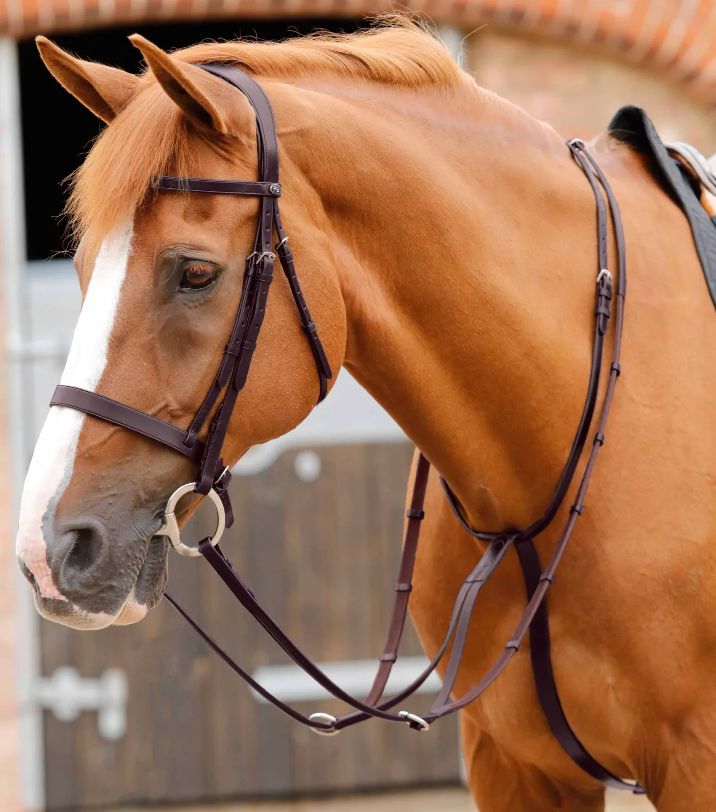 Fuscaldo Running Martingale Brown - Image 2