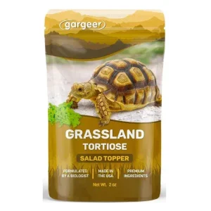 Gargeer Desert Grassland Tortoise Salad Topper