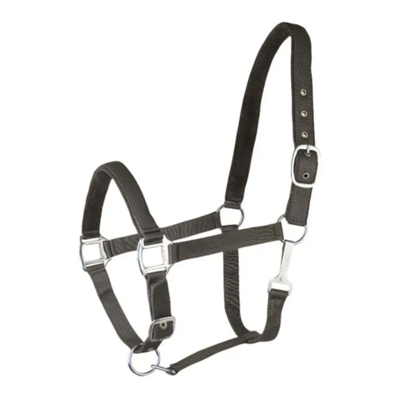 Gatsby 2-Tone Suede Nylon Halter - Image 2