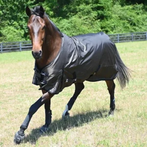 Gatsby 420D RipStop Waterproof TO Sheet