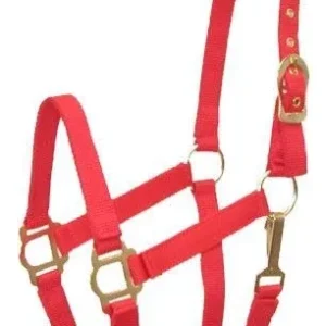 Gatsby Adj Nylon Halter/Snap